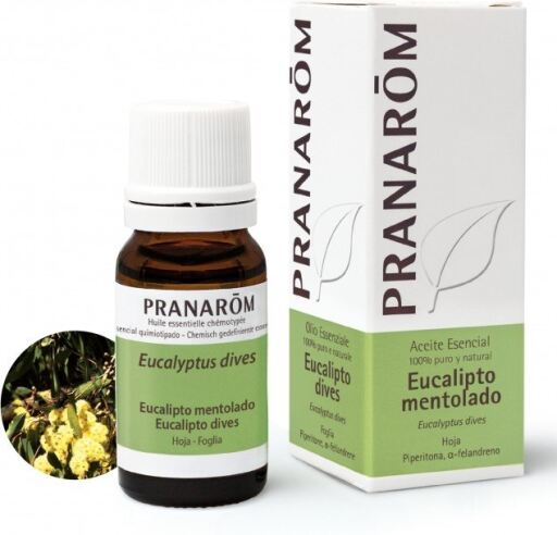 Eucalipto Mentolado Hoja 10 Ml