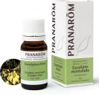 Eucalipto Mentolado Hoja 10 Ml