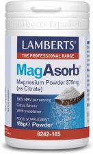 Magasorb 375mg Polvo 165gr