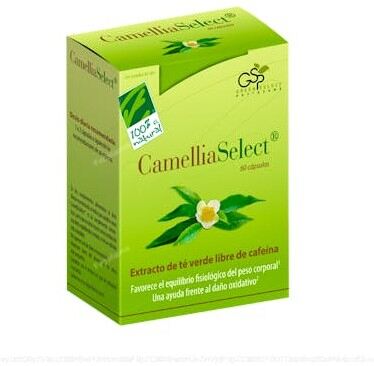 Camelliaselect 60 Vcap