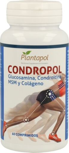 Planta Pol Condropol 60 Comp